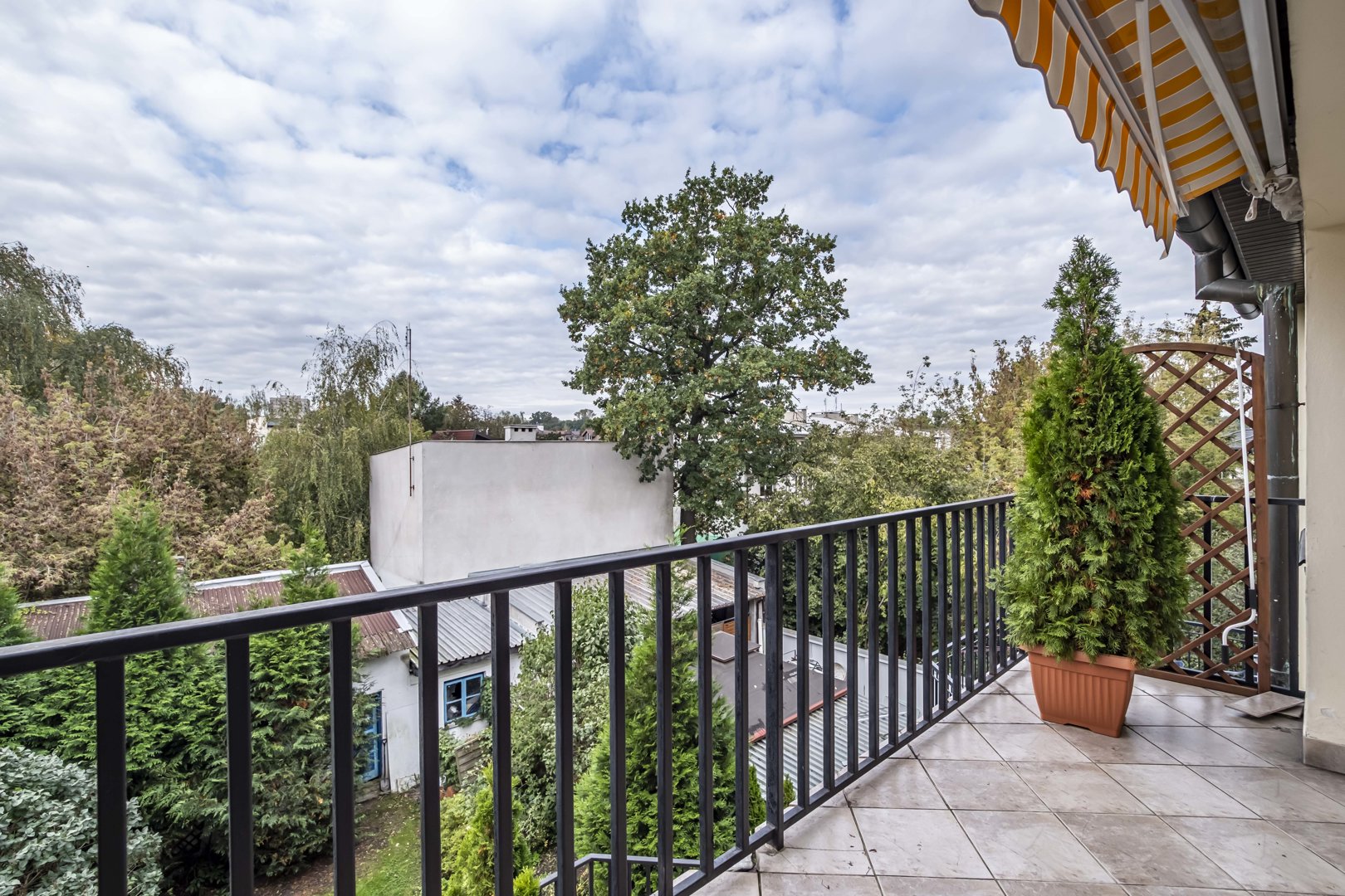 Black Moon Creatives  - 14